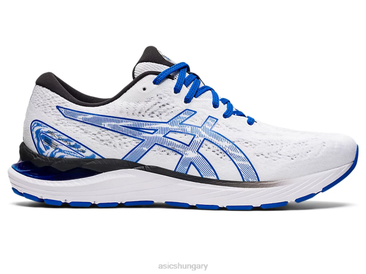 asics fehér/tonhal kék magyarország N2T2565